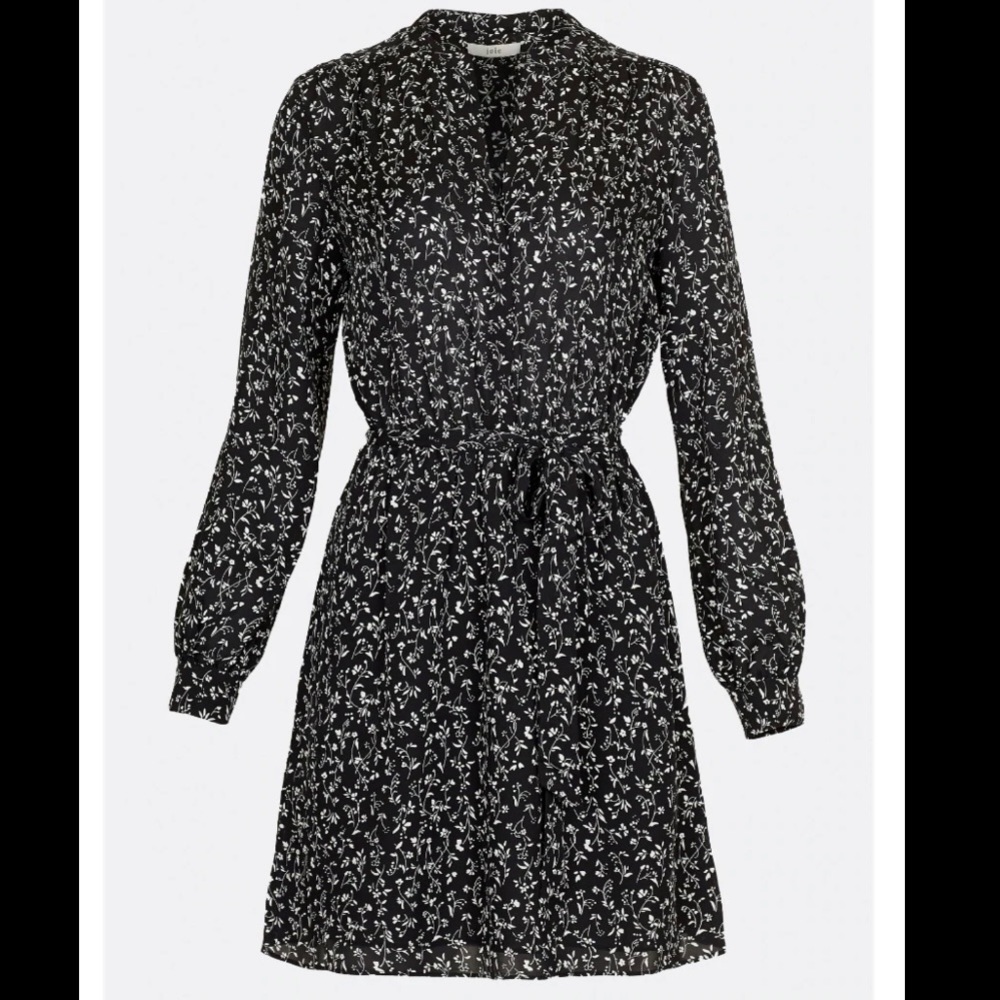 NWT Joie Black and white Floral Dress LEONORE size XS